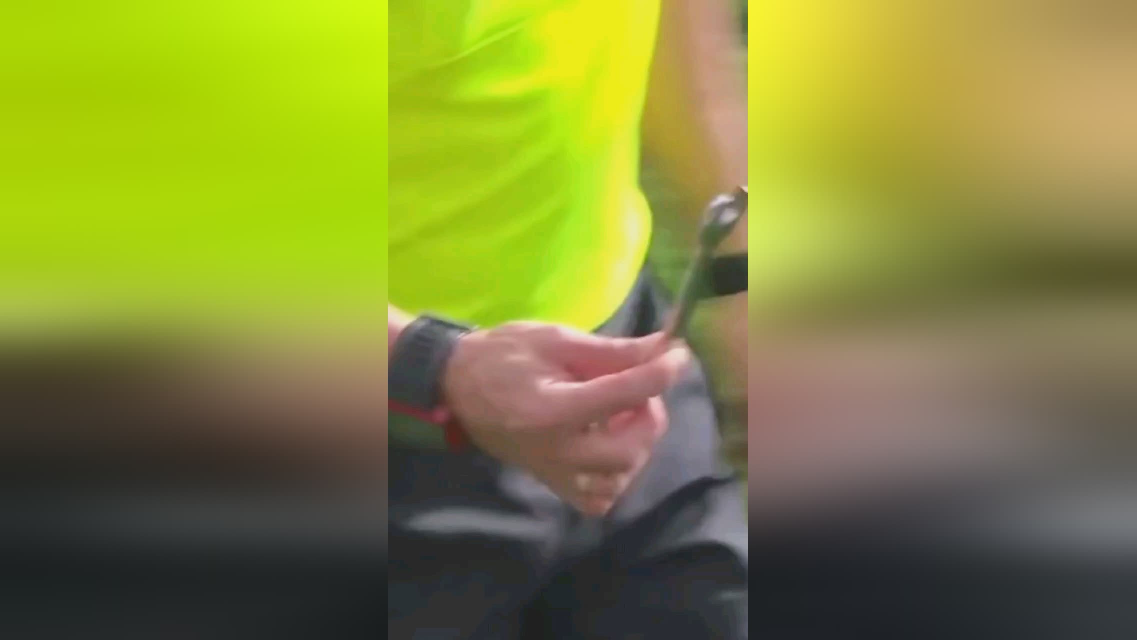 未来去向但